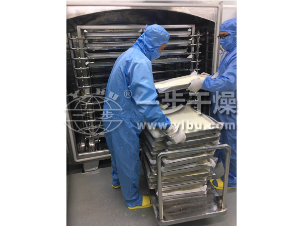 MZG 系列脈沖真空干燥機(jī)